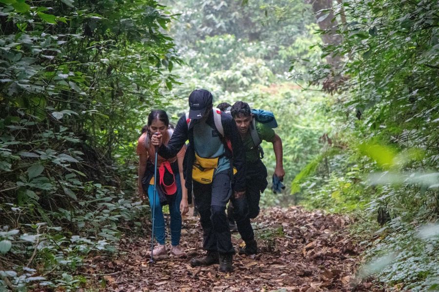 Friends hiking up a forest trail together